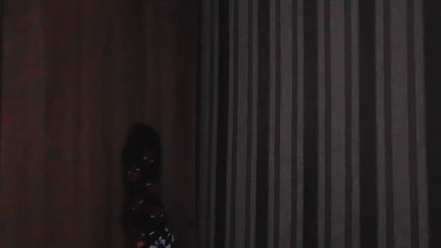 проверяю соседей на прочность МЕСТЬ
