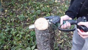 Цепная пила для сада