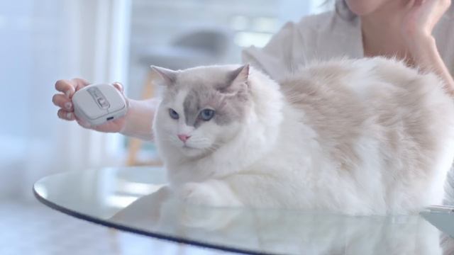 Logitech 羅技 MX Anywhere 3 代言人張景嵐 -形象篇 смотреть онлайн