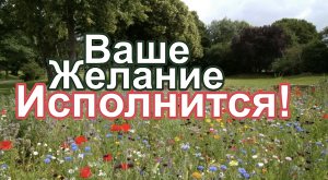 ВАШЕ ЖЕЛАНИЕ ИСПОЛНИТСЯ! Мощнейшая техника исполнения желаний!