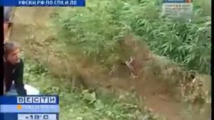 ну дай дозреть недельку