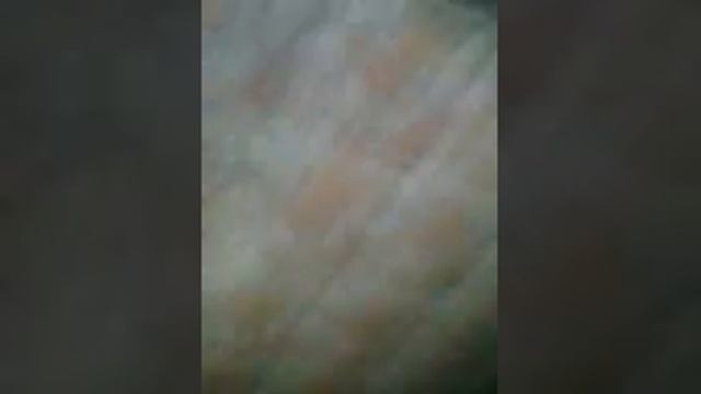 Страшный сон 2. смотреть онлайн