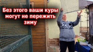 Куры зимой в неотапливаемом курятнике  Мои куры несутся зимой как летом!