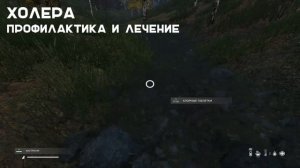 Полный Гайд По МЕДИЦИНЕ в DayZ 1.13