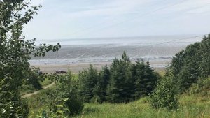 Аляска 2021. Кенайский полуостров.