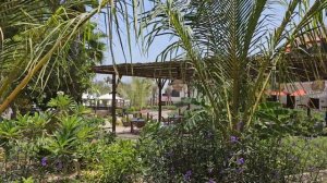 JA Palm Tree Court Dubai May 2023