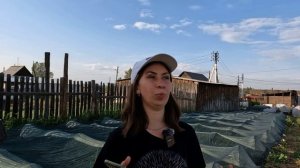 Подготовка клубники к зиме
