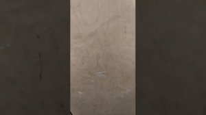 Лифт совхозная 24.1 (19.2)