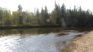 Река Кунгус.