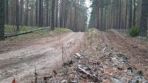 Suzuki DRZ-400S покатухи в лесу