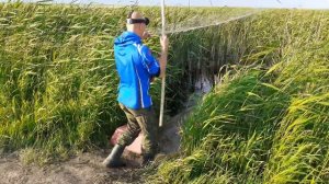 Рыбалка на паук 2022 сазаны на паук ЁКЛМН. Сазаны на подъемник, рыбалка 2022