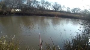 Ловля Крабов в Речке на Паук (Подъемник). Рыбалка на Паук.