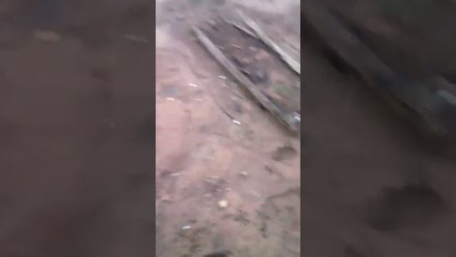 На Братском водохранилище всплыло старое кладбище