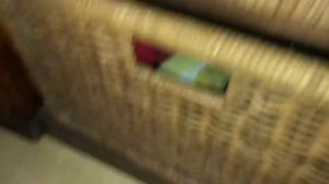 Angry birds Rio trailer