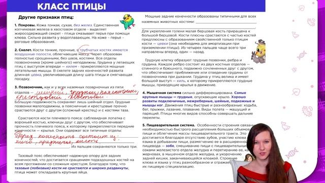 ПТИЦЫ смотреть онлайн