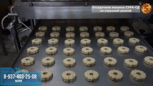 Отрезное печенье на отсадочных машина от Компании ПКО-СУРА