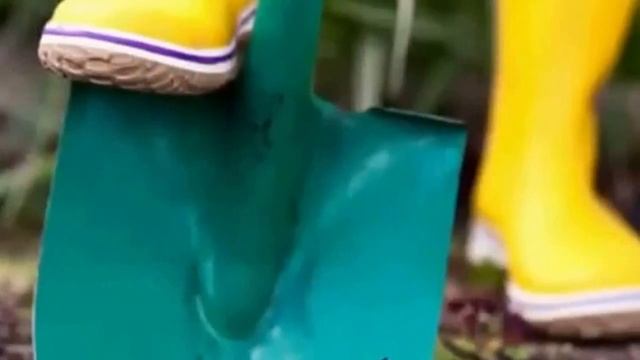 Правильная посадка малины. смотреть онлайн