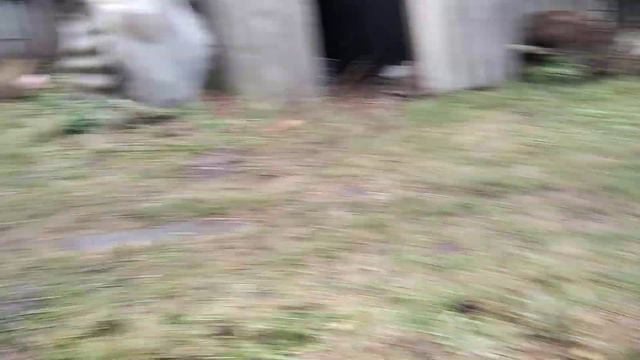 Какой же всё-таки благодарный кот 🐱 смотреть онлайн