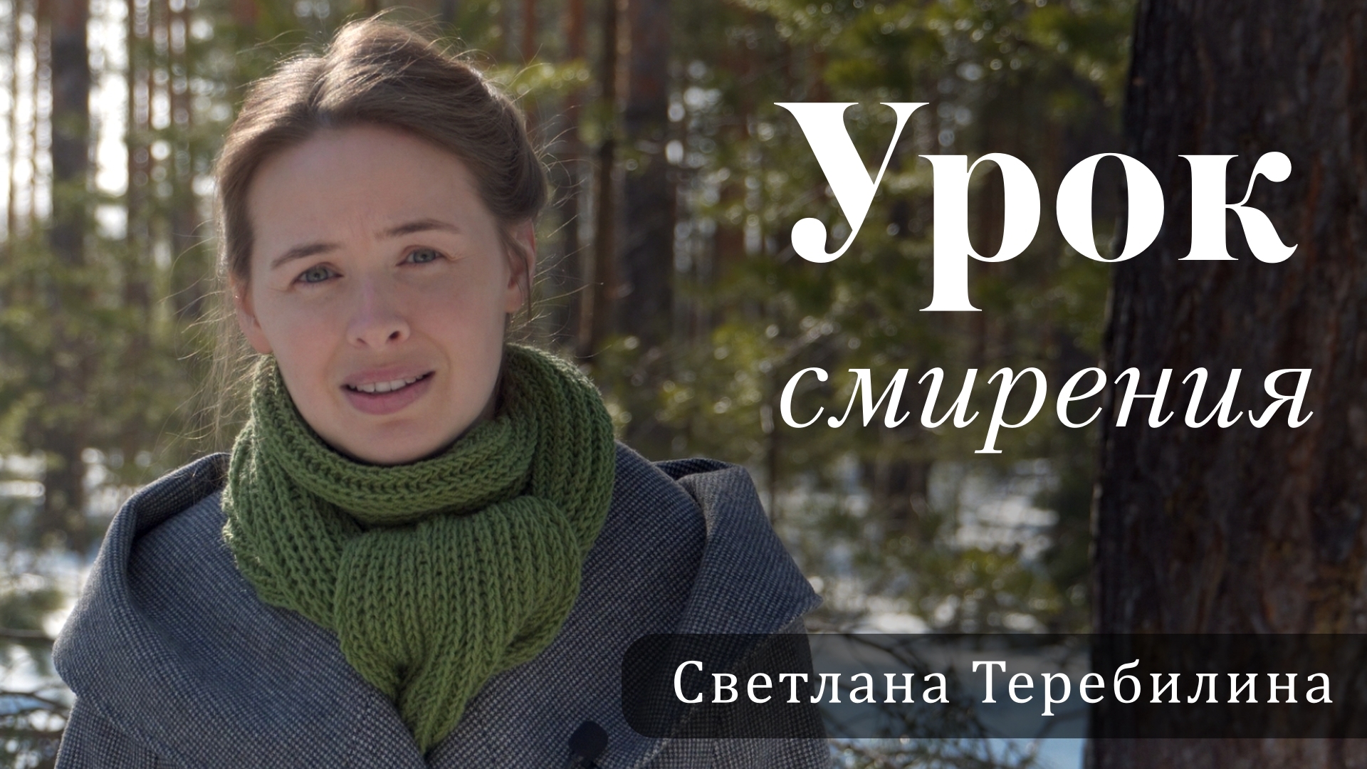 Урок смирения. Светлана Теребилина. Читает автор смотреть онлайн