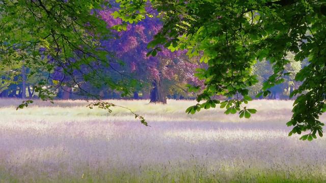 Wolfgang Amadeus Mozart - Mozart: String Quartet No. 14 in G Maj смотреть онлайн