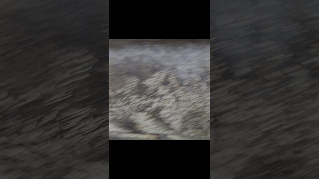 пушечная болезнь смотреть онлайн