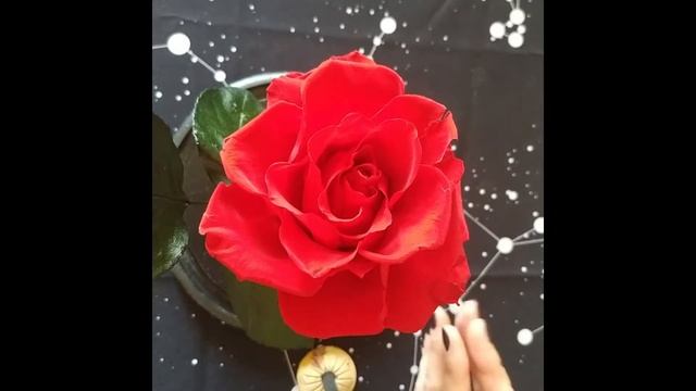 Простые обряды для молодости и красоты.