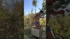 Давка винограда босыми ногами | Tourismolog' Experiences