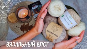 ВЯЗАЛЬНЫЙ ВЛОГ №86 | Атмосферные моточки | Начала палантин | Продвигаю Пию