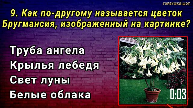 НАСКОЛЬКО СТАР ВАШ МОЗГ? Удивительный тест на эрудицию и общие знания #насколькотыумный #эрудиция