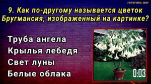 НАСКОЛЬКО СТАР ВАШ МОЗГ? Удивительный тест на эрудицию и общие знания #насколькотыумный #эрудиция