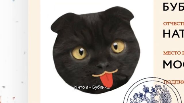 бублик москва 24. кот бублик м24. кот бублик москва 24. кот бублик. кот бублик москва 24.