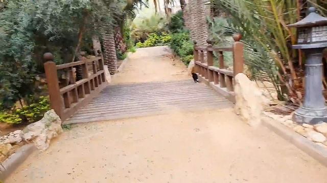 Набираюсь сил и энергии... смотреть онлайн