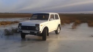 Cordiant off road шип
