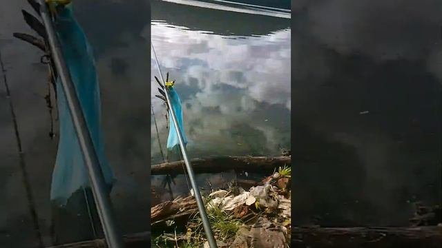 рыбалка на реке Патрушиха+озеро уктус