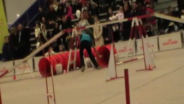 A2 Medium - Косоруков Роман и цвергпинчер Леся смотреть онлайн