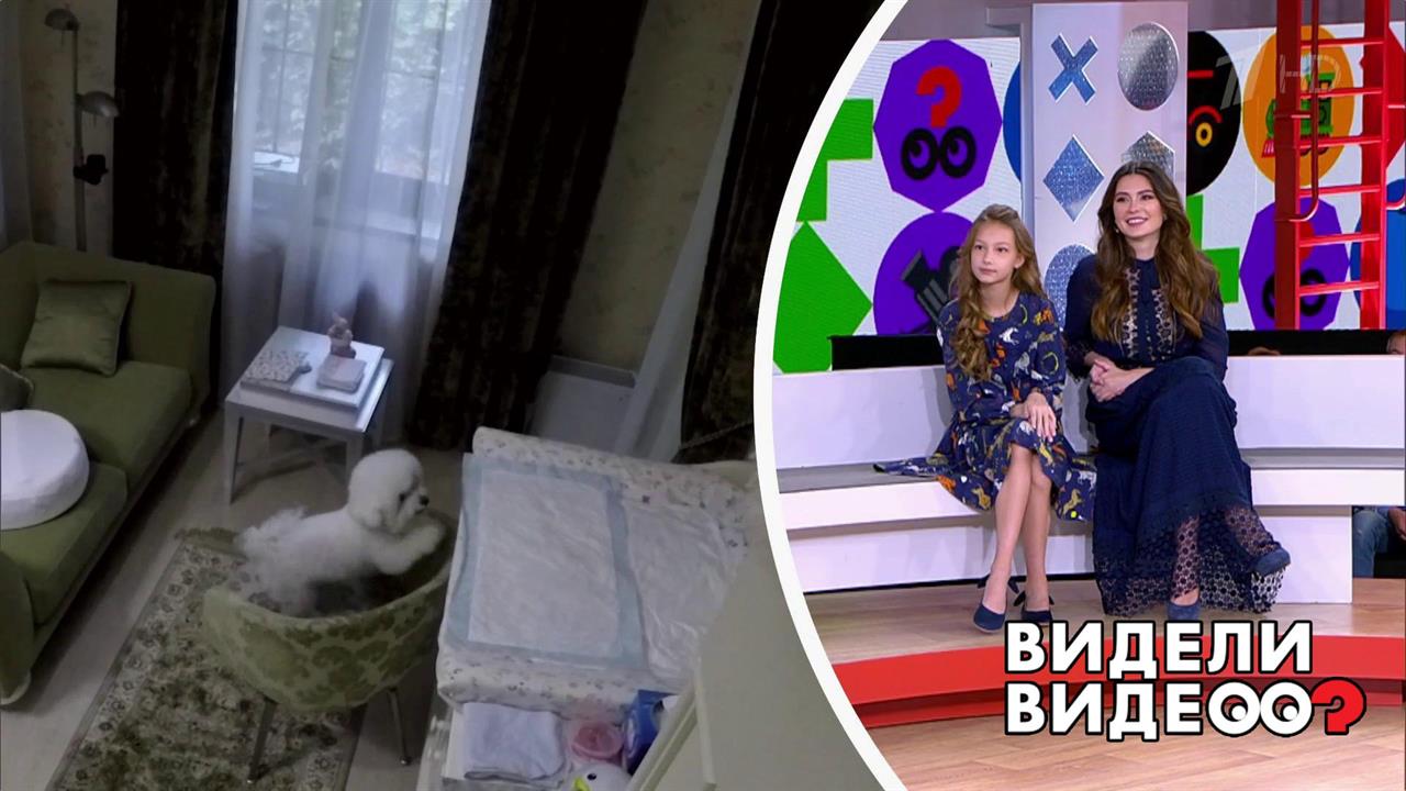 Один дома: собака Ольги Ушаковой. Видели видео? Фрагмент выпуска от 18.08.2019