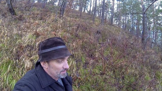 Барсучий жир что лечит? Туберкулёз, бронхит. Применение. смотреть онлайн