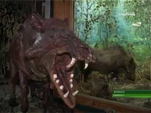 Открылась выставка "Гиганты ледникового периода" 08 12 17