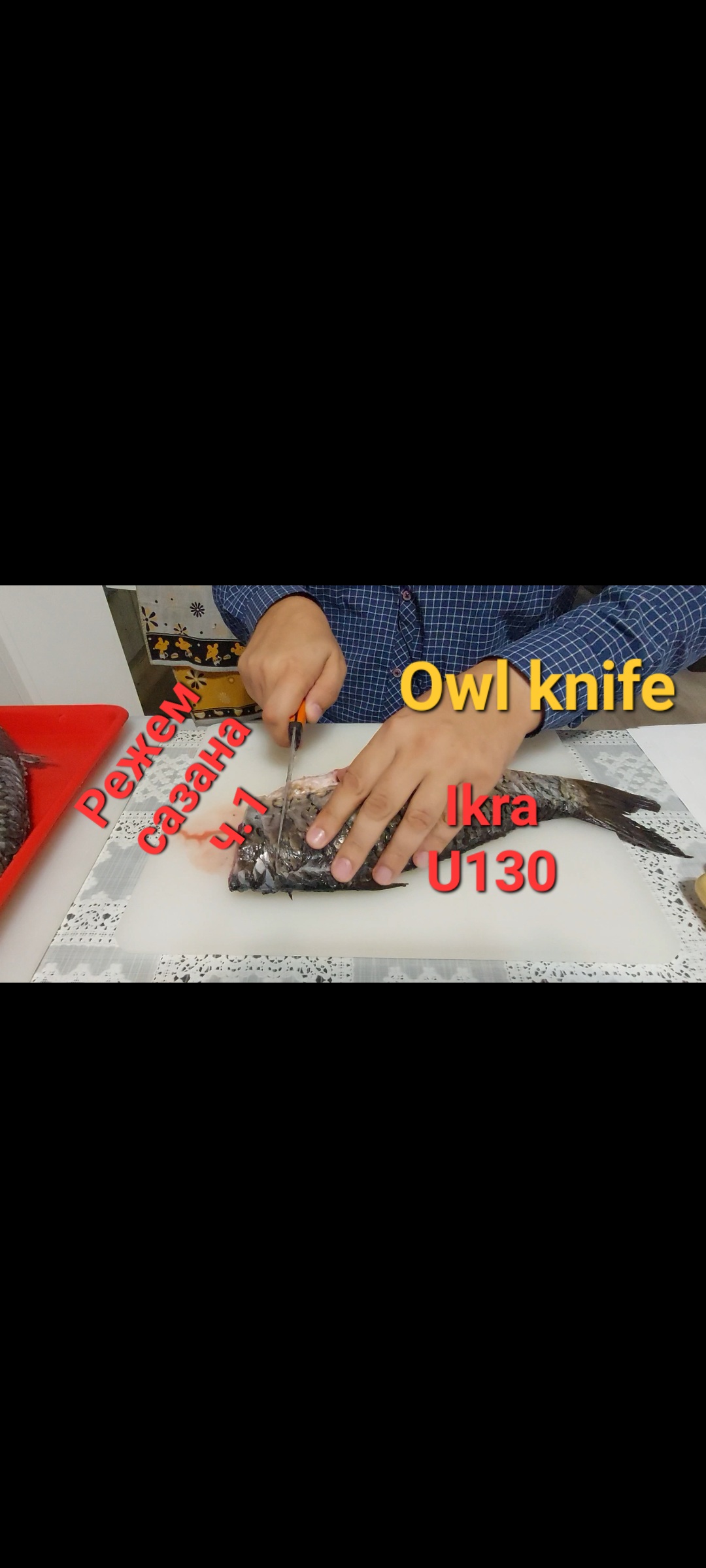 Ножи Owl knife универсальный и Ikra. Режем сазана ч.1.