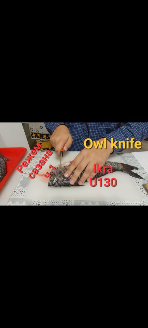 Ножи Owl knife универсальный и Ikra. Режем сазана ч.1.