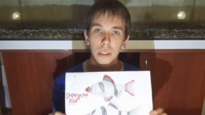 #3 Определи пол у Барбусов. Чем кормить Барбусов?