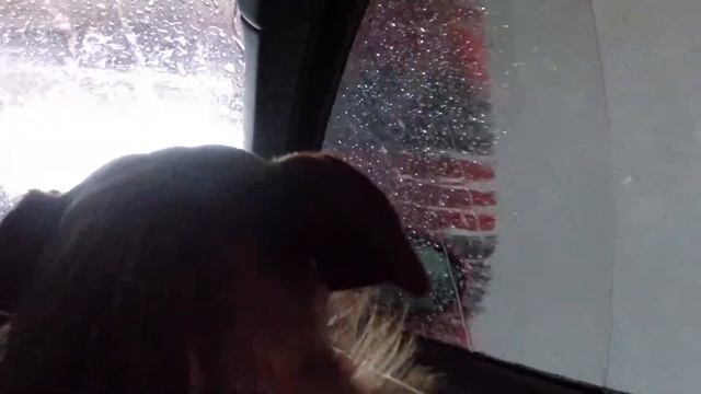 Sammy der Autotester - Teil 3 Porsche Macan Diesel S смотреть онлайн