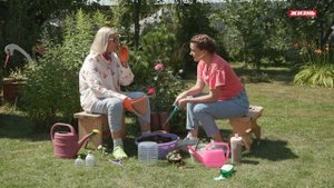 Черенкуем розы! 100% результат!