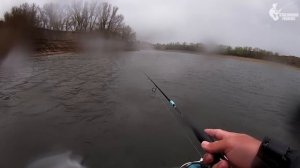 Эту РЫБАЛКУ Я НЕ ЗАБУДУ НИКОГДА! Астрахань, Золотой Судак, второй тур