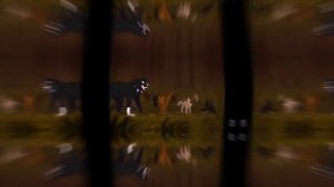 коты воители Бич песня/ Кёрт я тебя люблю/ моя любимая песня.