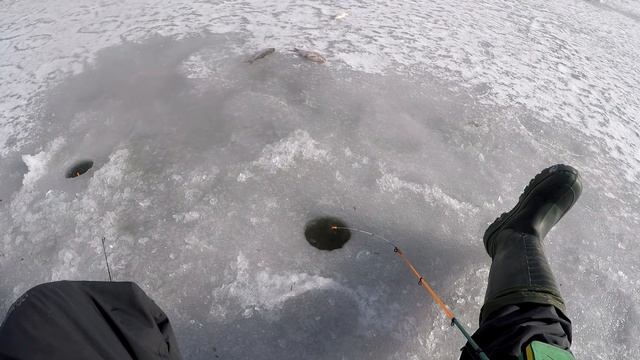 В этой речушке КРУПНАЯ ПЛОТВА стоит, Ловля Крупной Плотвы, Ловля плотвы зимой, Зимняя плотва