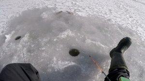 В этой речушке КРУПНАЯ ПЛОТВА стоит, Ловля Крупной Плотвы, Ловля плотвы зимой, Зимняя плотва