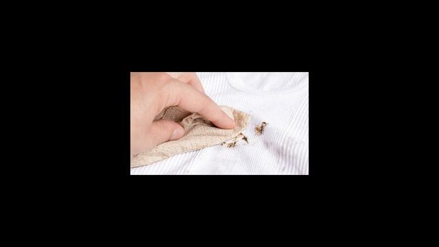 Как вывести пятно от шоколада?