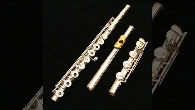 Баев Евг. Э.Сежурне "Лоза" (флейта+фортепиано) смотреть онлайн