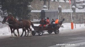 горнолыжный выезд в буковель